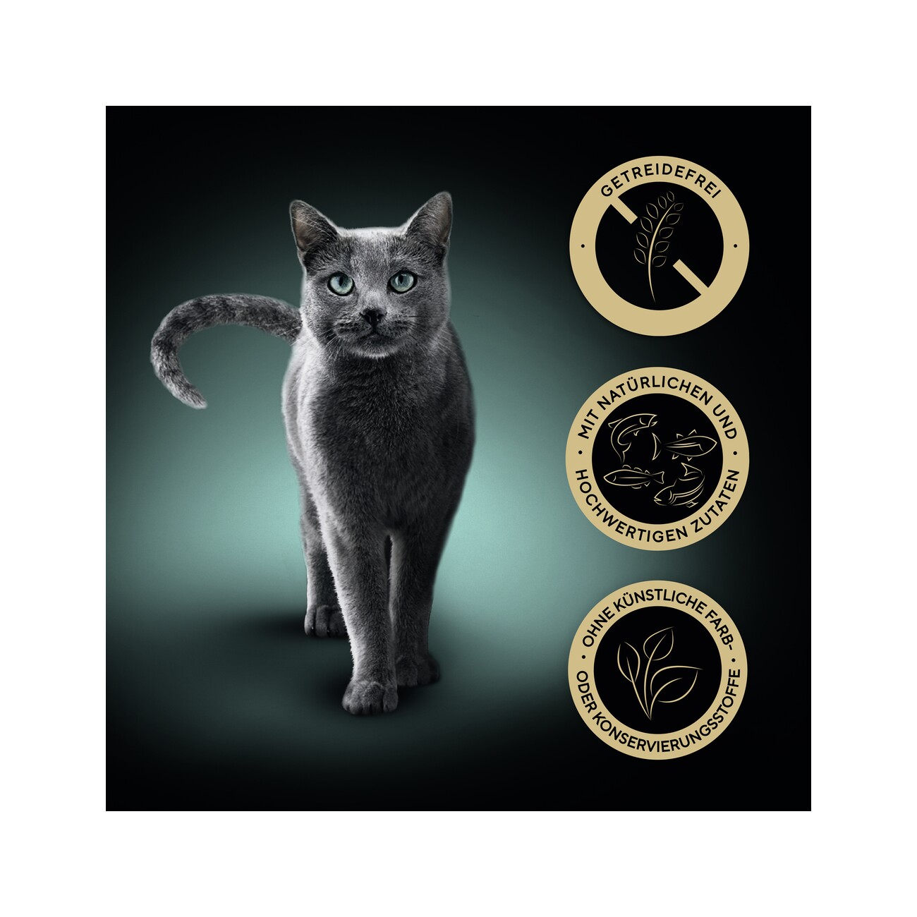 Sheba Classics in Pastete 12x85g
