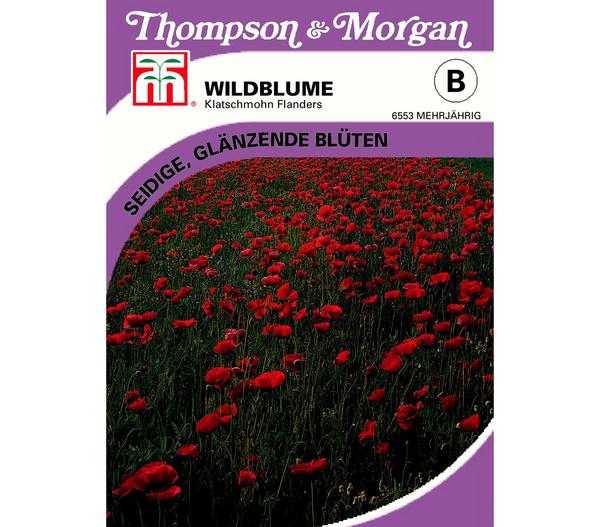Thompson & Morgan Samen Wildblume 'Klatschmohn