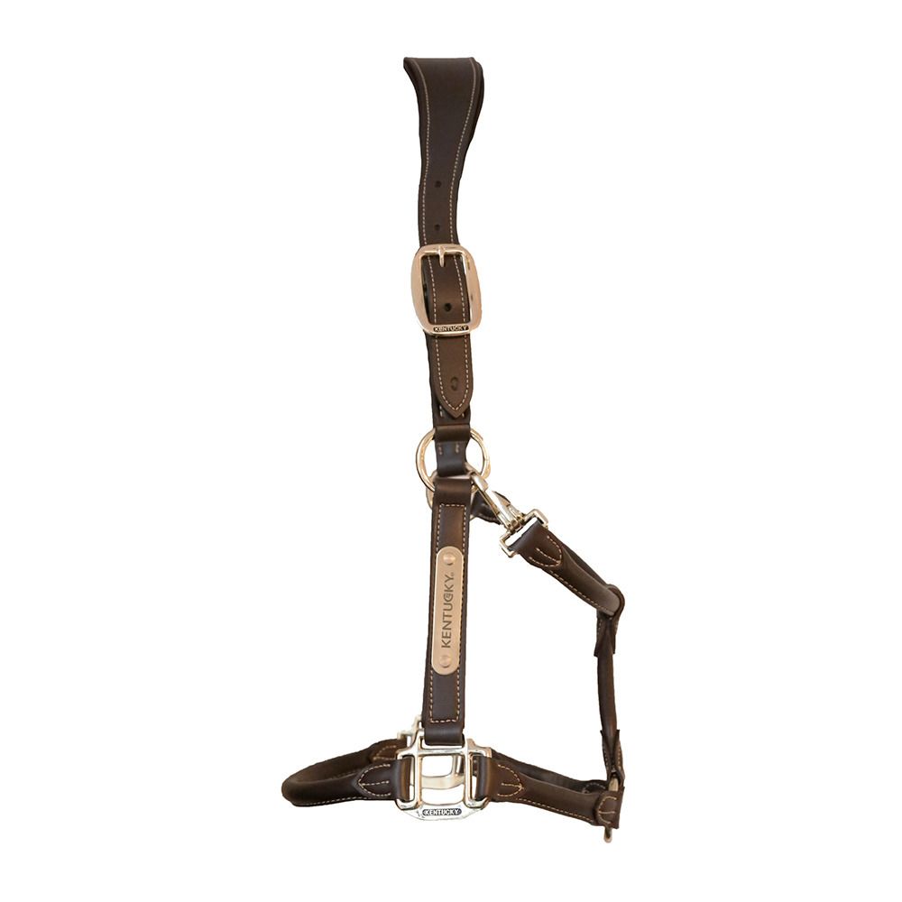 Kentucky ANATOMIQUE CUIR - Licol marron