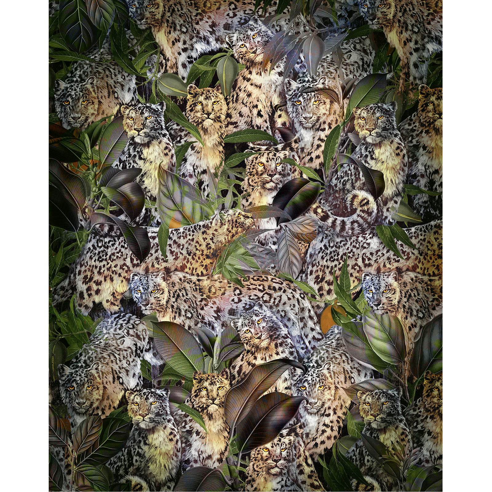 Vlies-Fototapete WILD CATS - bunt - 200x250 cm