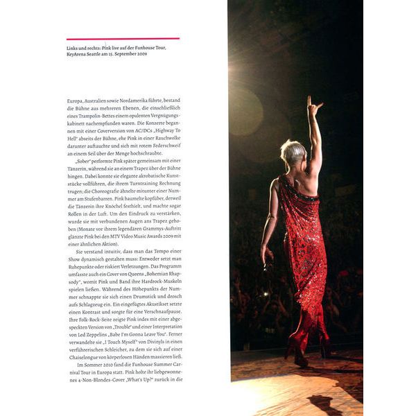 Hannibal Verlag P!nk - Raise Your Glass
