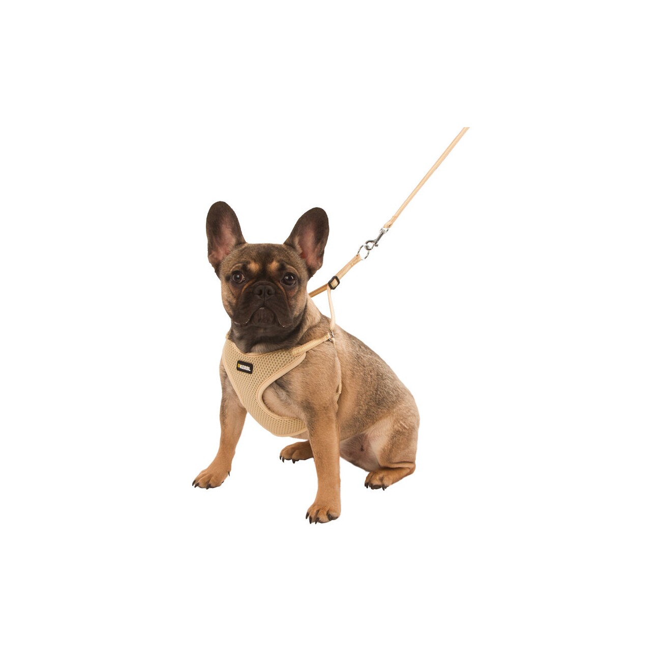 Kerbl Welpengeschirr mit Leine beige 24 - 44 cm/10 mm