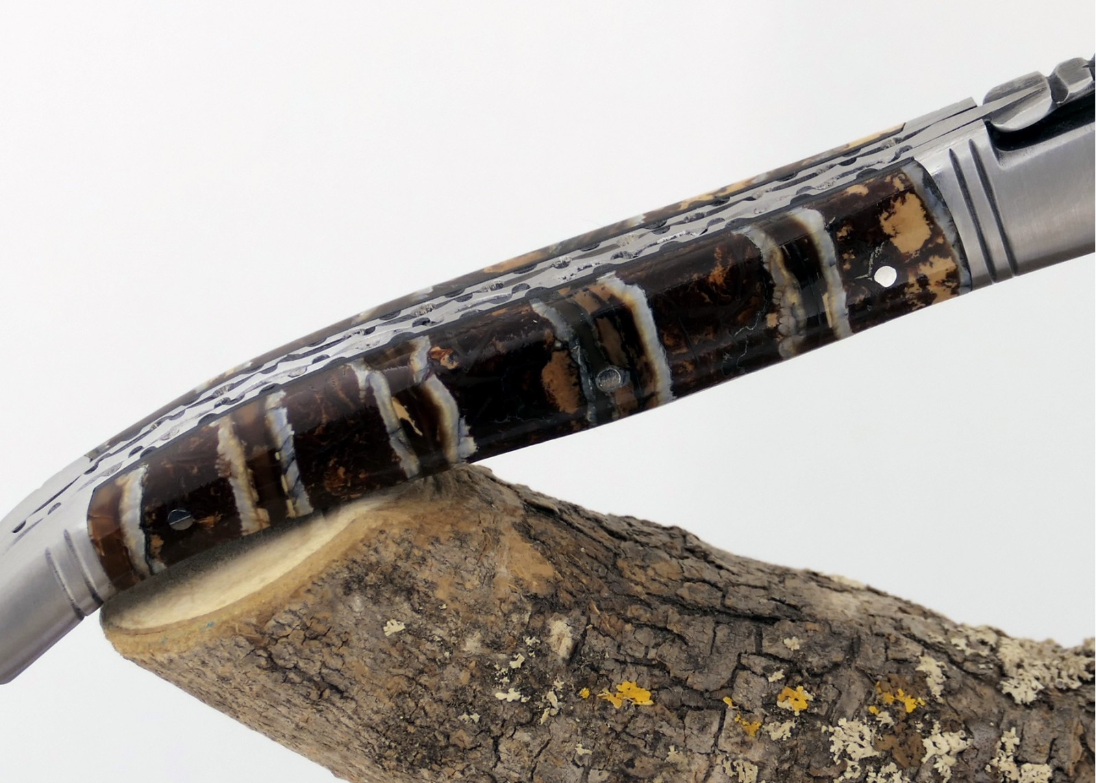 Couteau Laguiole avec un manche en Molaire de Mammouth Fossile