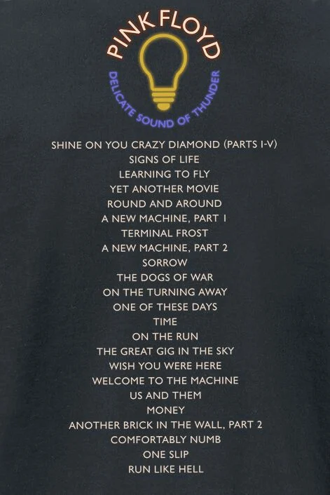 Delicate Sound Of Thunder Stage | Pink Floyd T-Shirt Manches courtes