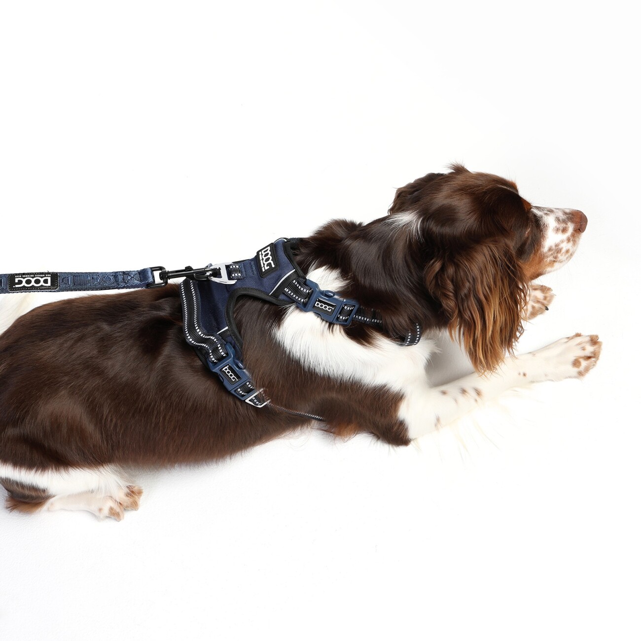 DOOG Neotech Harness NAVY S