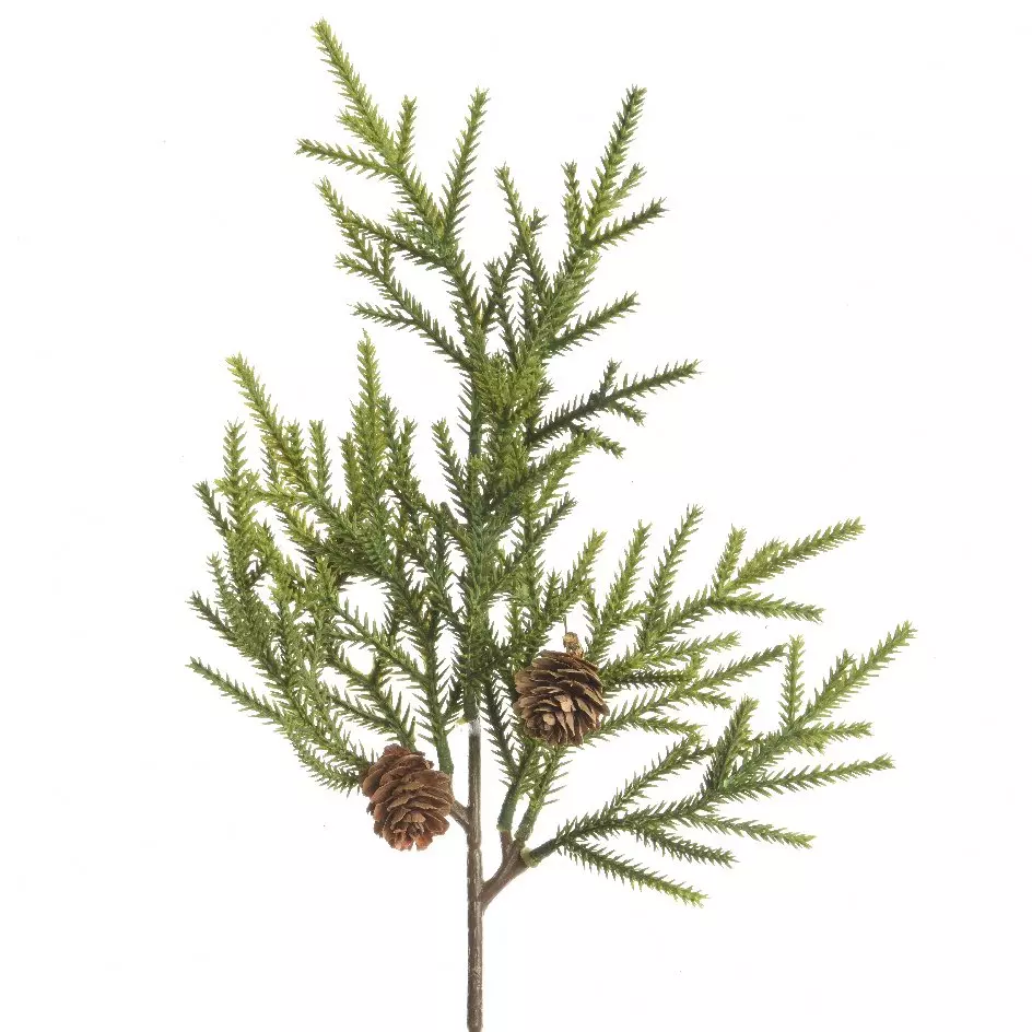 Branche de sapin (38 cm) Epicéa Vert