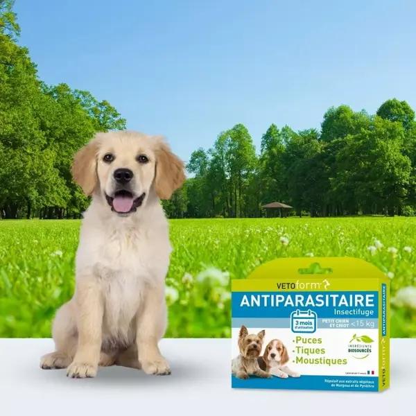 Vetoform Antiparasitaire Petit Chien -15kg 3 pipettes