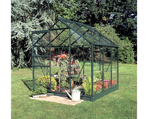 Kas Hallen Popular 66 3,8 m² Helder glas 3 mm 193x195 cm groen