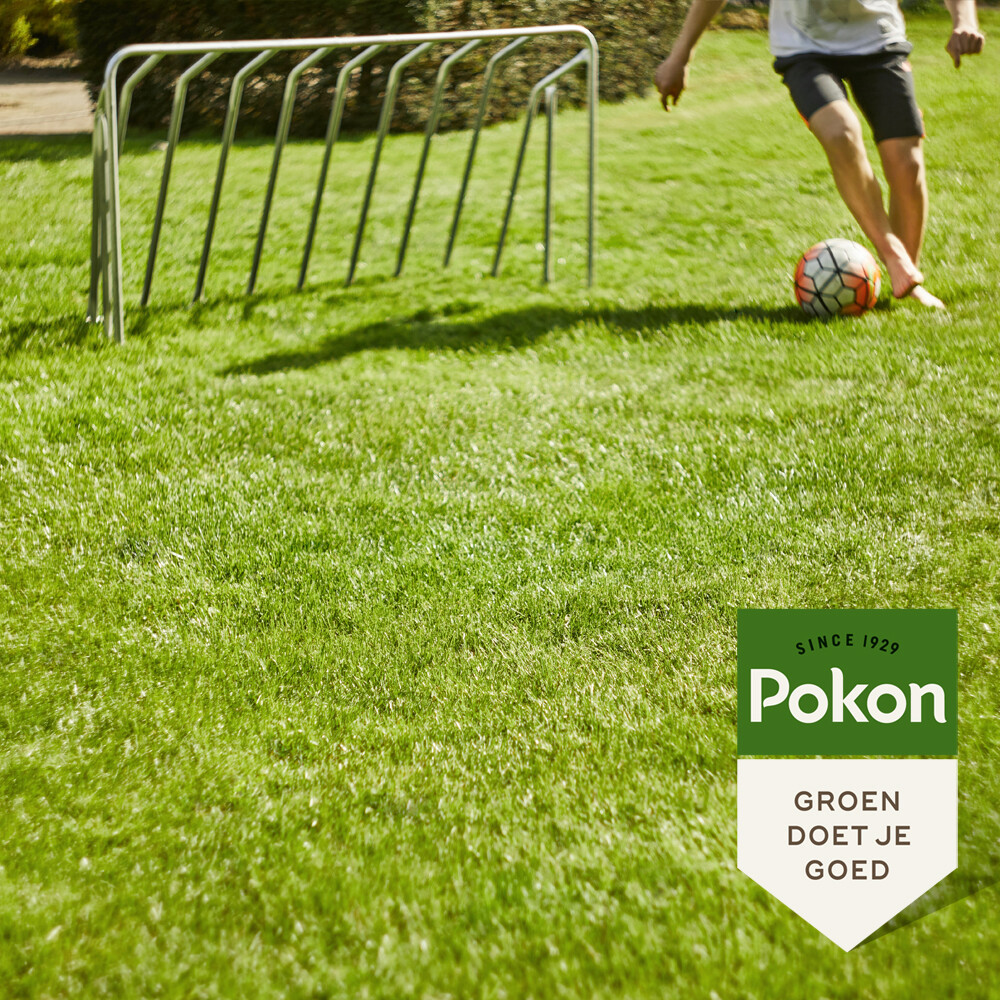 Pokon Graszaad Inzaai1 kg