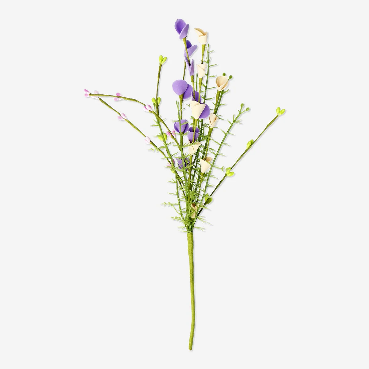 Dekorativ lilla og gul blomst