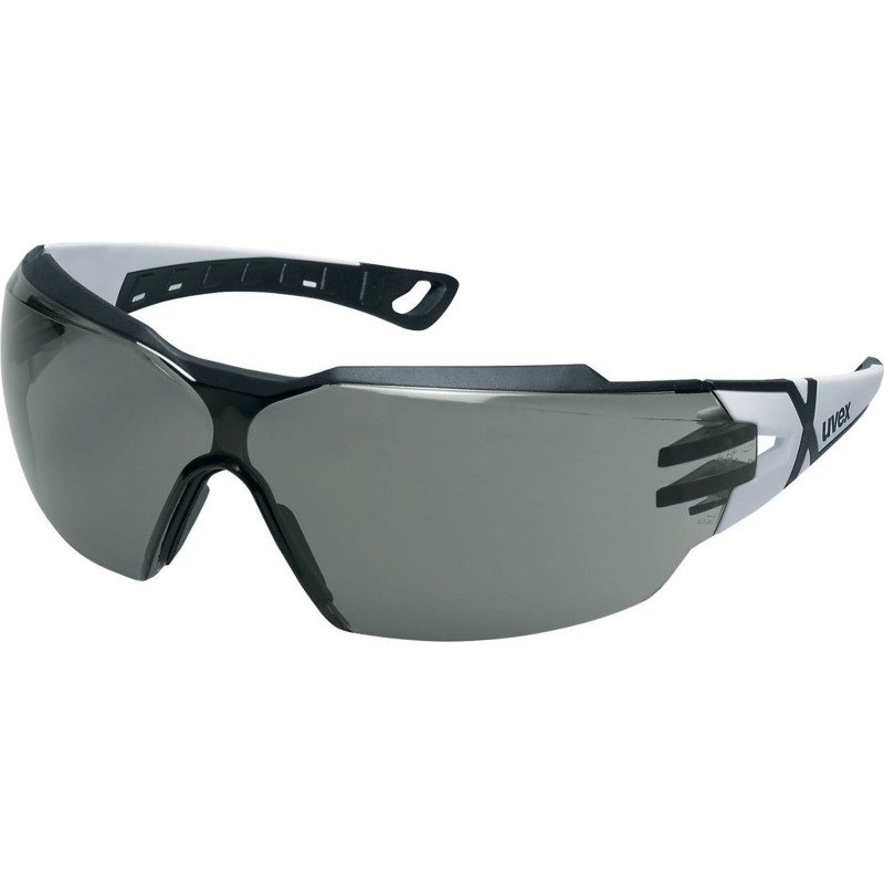 Lunettes de protection Uvex Pheos CX2, gris