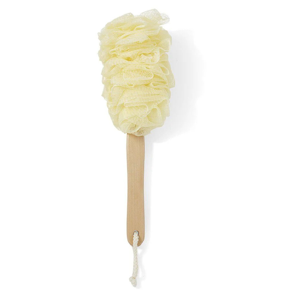 Fleur de douche forme brosse pour le dos