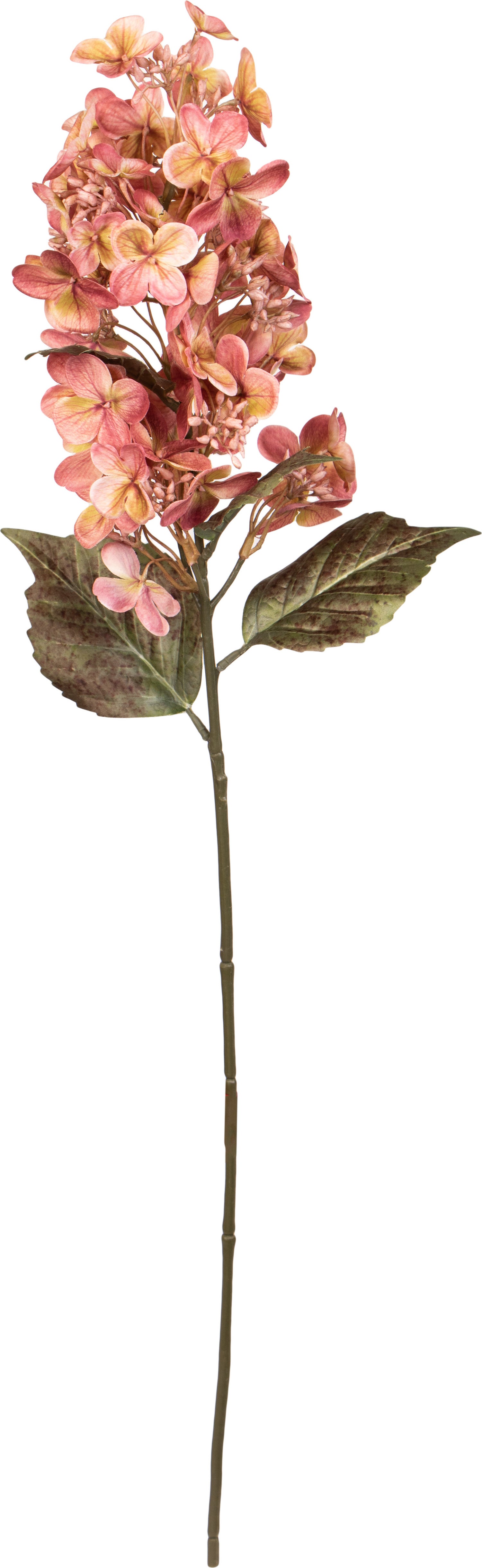 Louis Maes kunstbloem pluimhortensia roze 57 cm