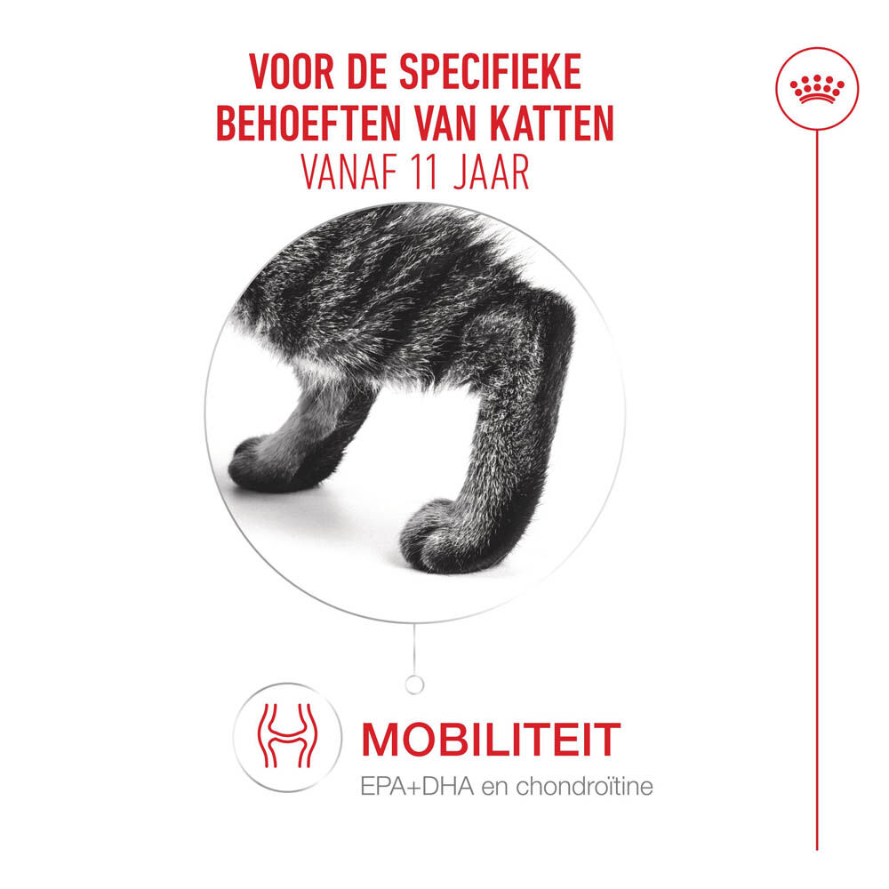 Royal Canin Ageing 11  - Kattenvoer - 2 Kilogram