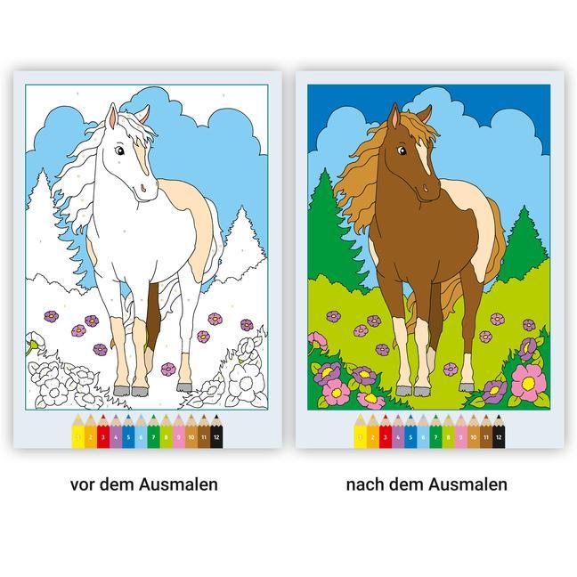 Ravensburger CreArt Malen nach Zahlen ab 5: Pferde, Malbuch, 24 Motive