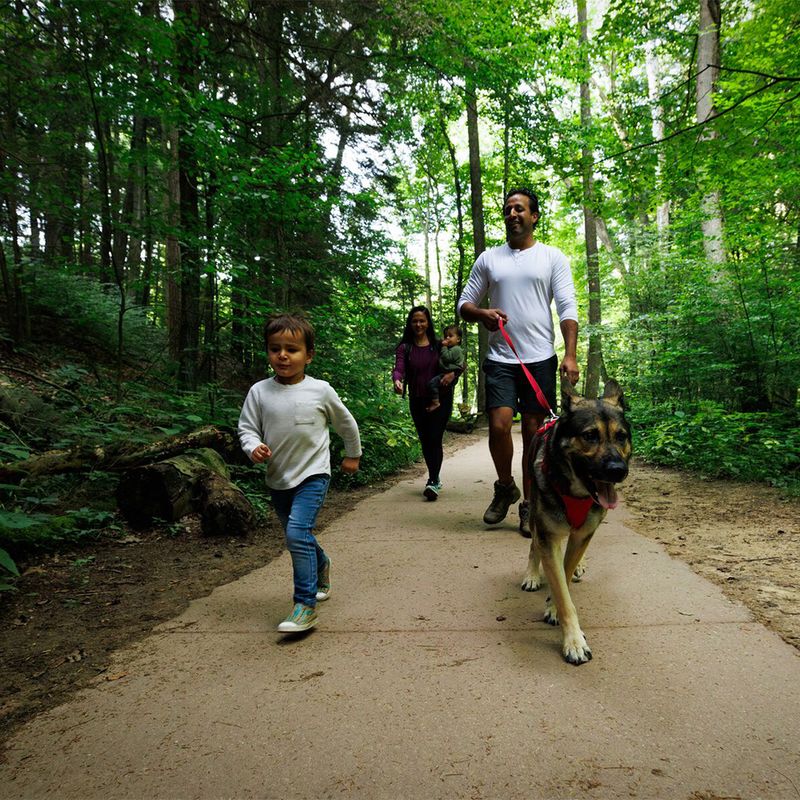 Harnais Ruffwear Front Range