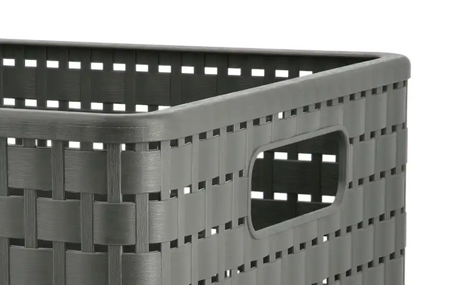 Rotho Aufbewahrungsbox 27,8 cm