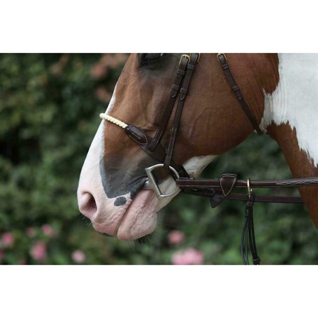 Neusriem D Collection by Dy'on Rope Bruin
