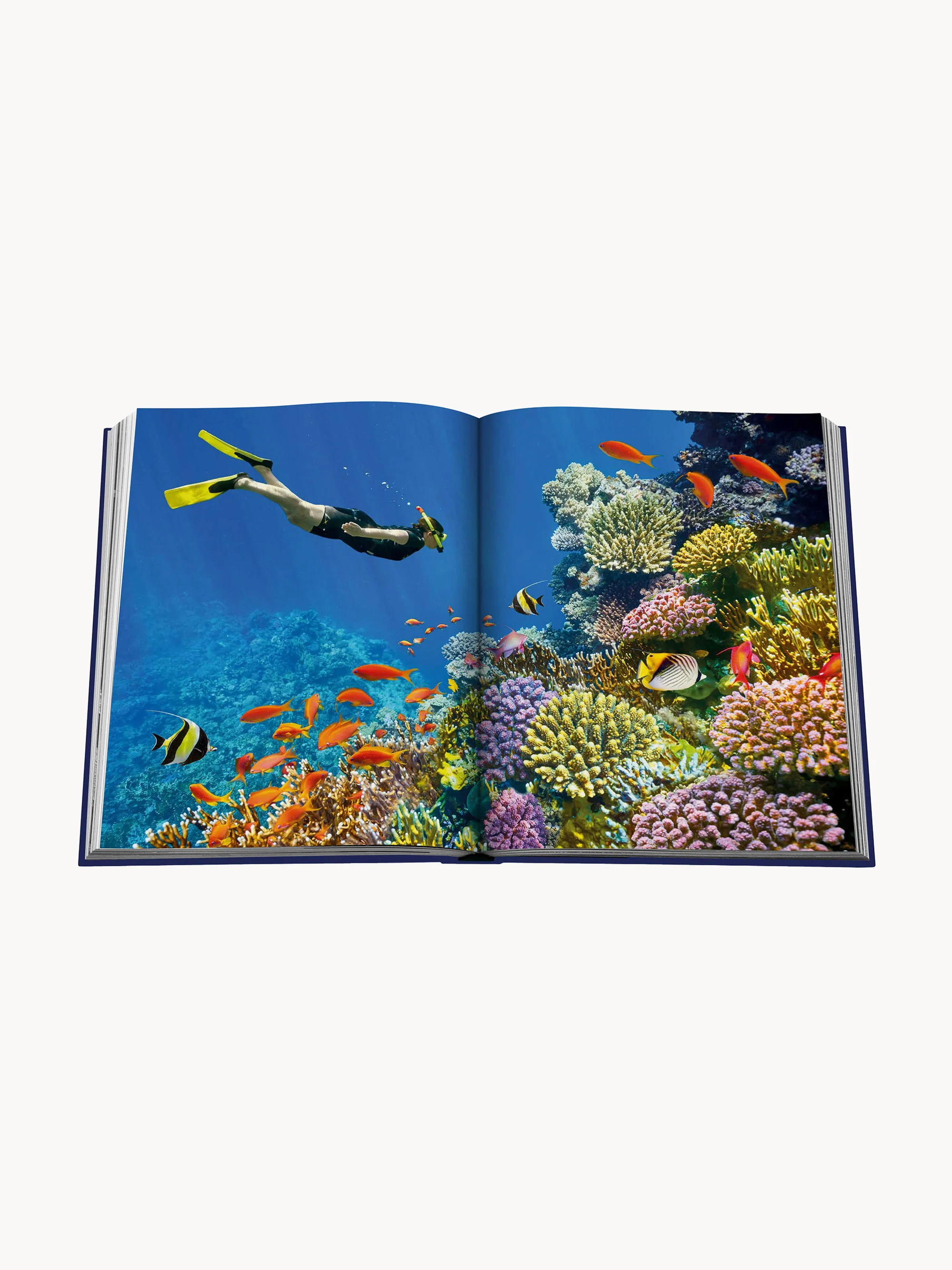 Koffietafelboek Ocean Wanderlust