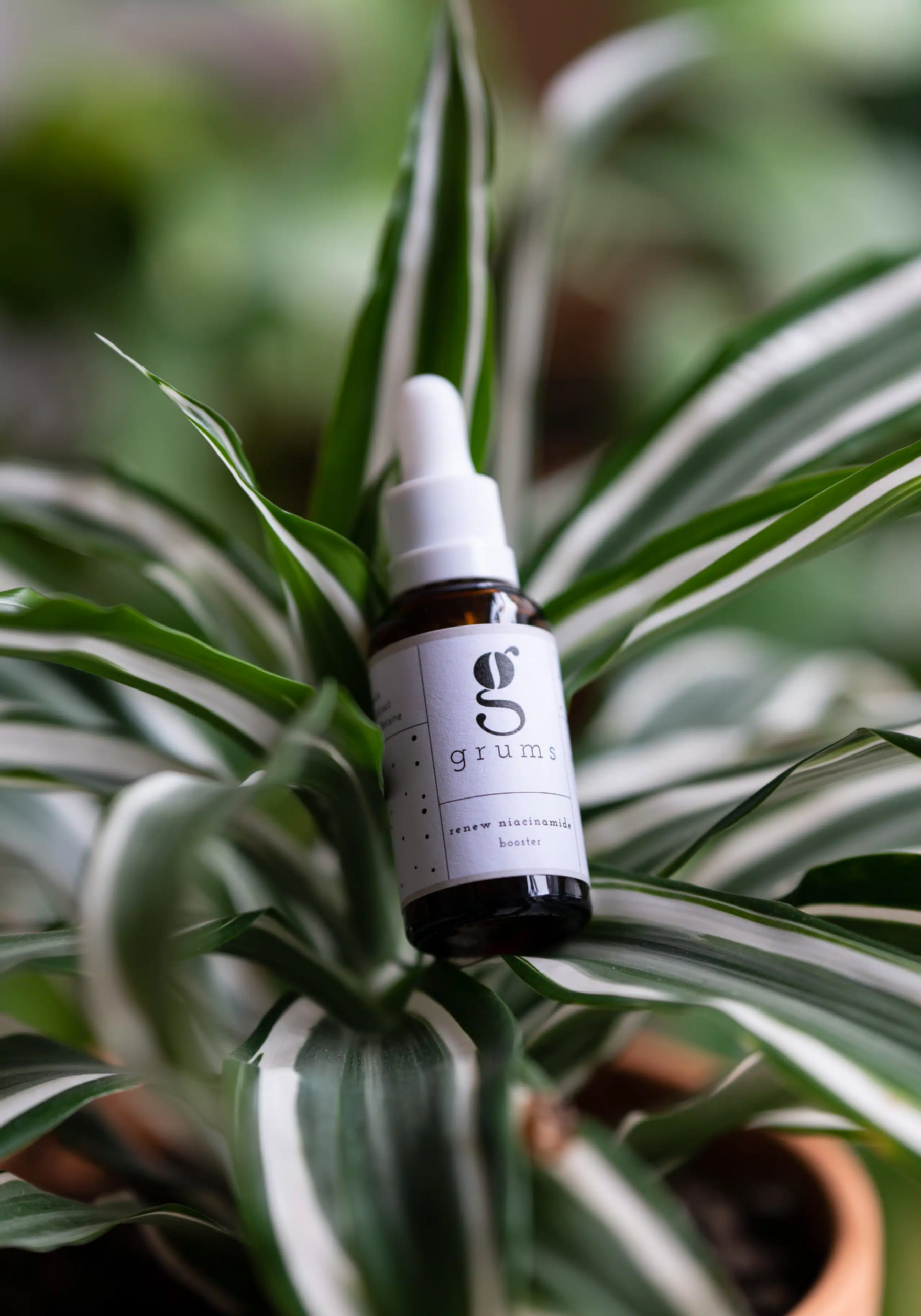 grums aarhus Renew Niacinamide Booster