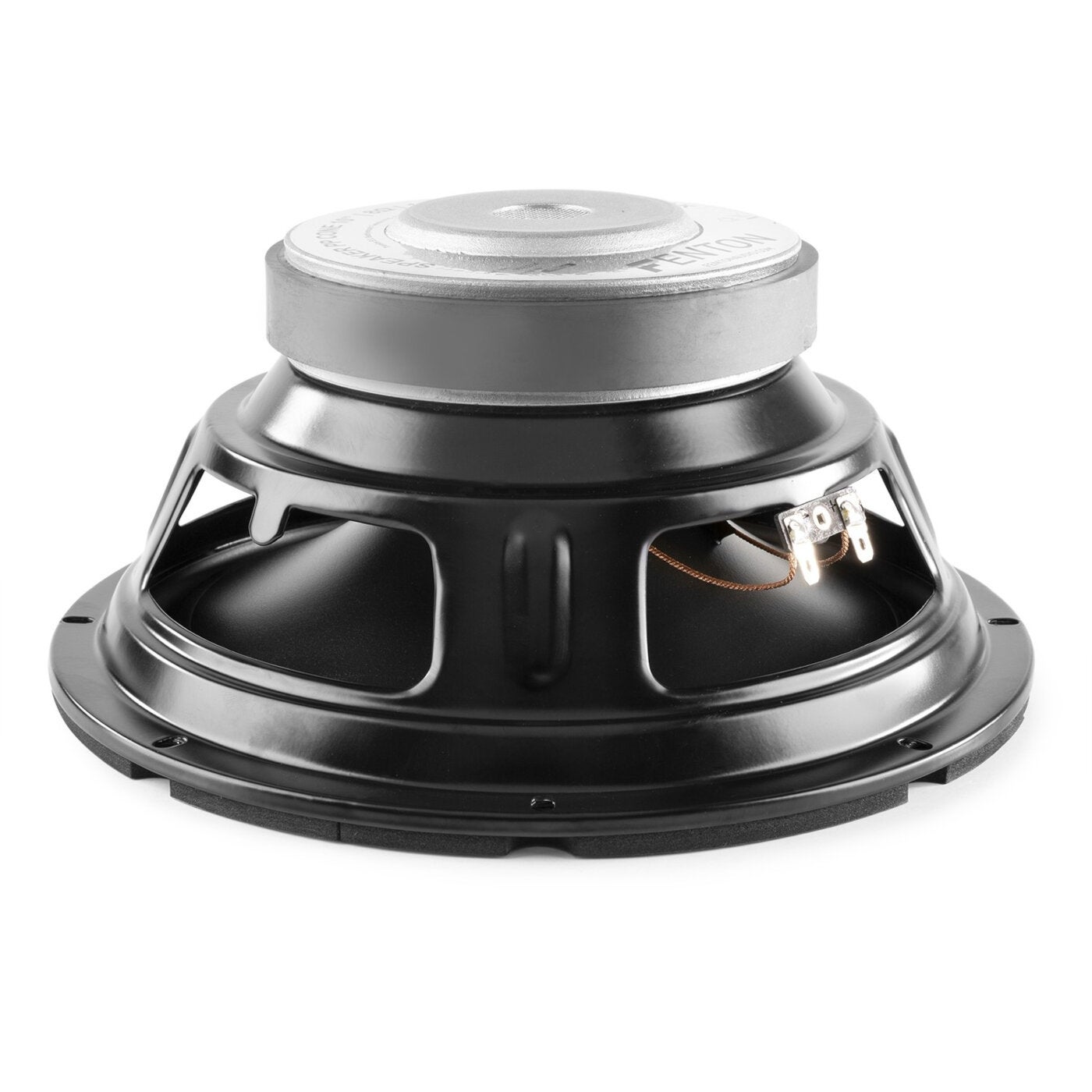 Fenton WPP25 10 inch HiFi basluidspreker