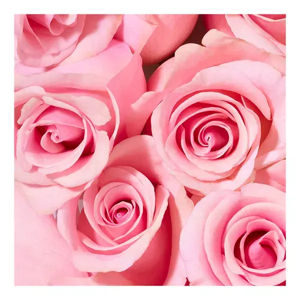 Gel de Banho Suavizante Nuxe Very Rose 750ml
