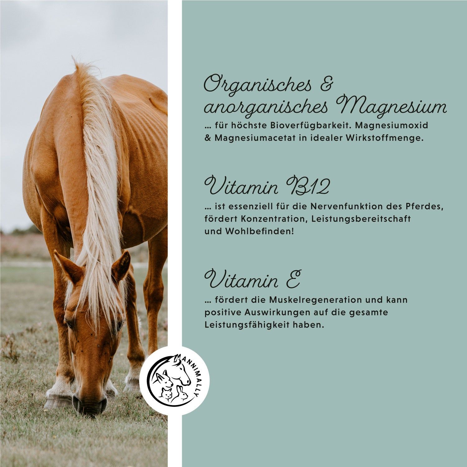 Annimally Magnesium Pellets
