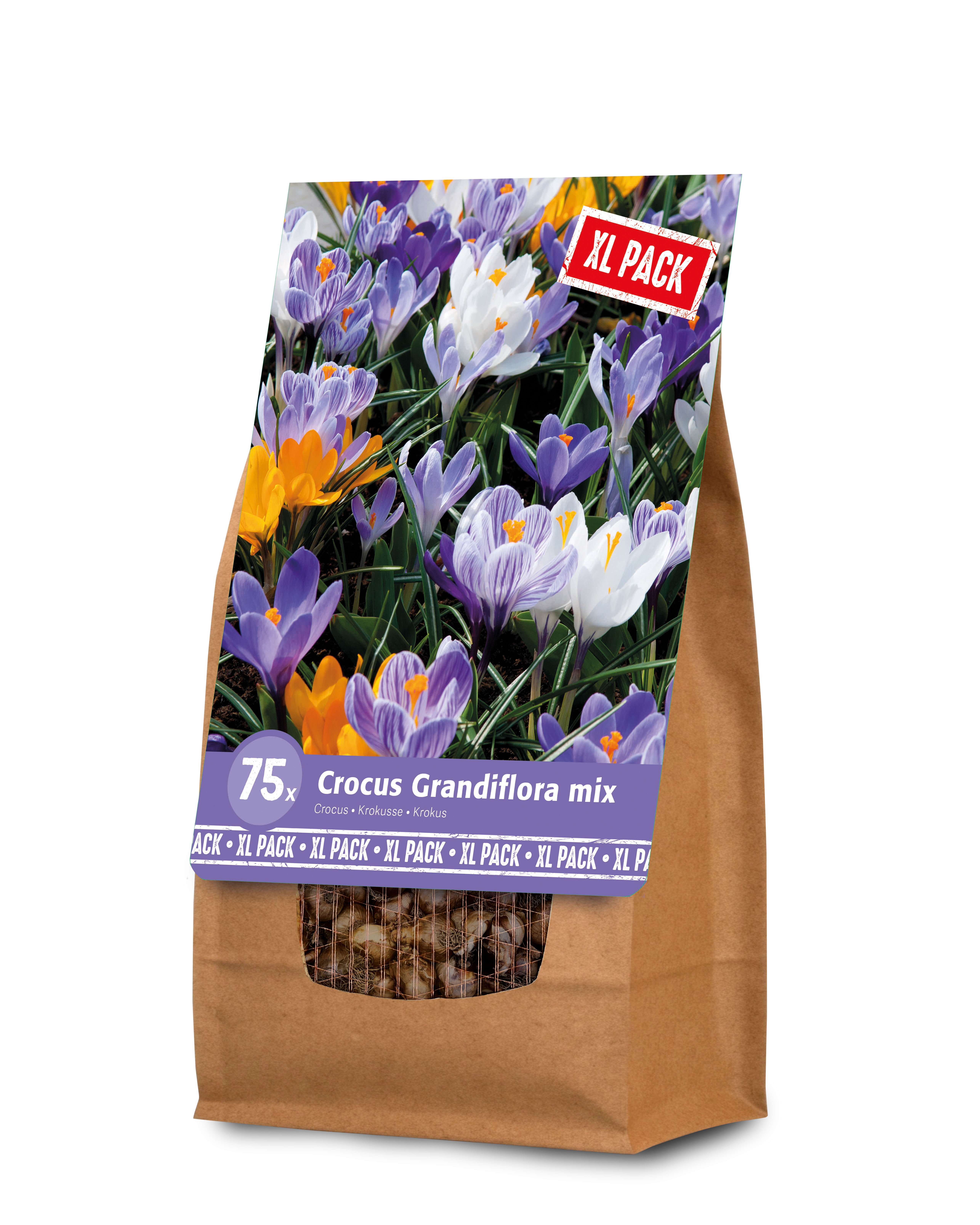 Florex Krokus mix- Bloembollen - XL zak