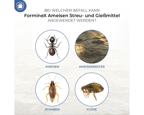PrHo Mierenstrooi- en gietmiddel 500 g