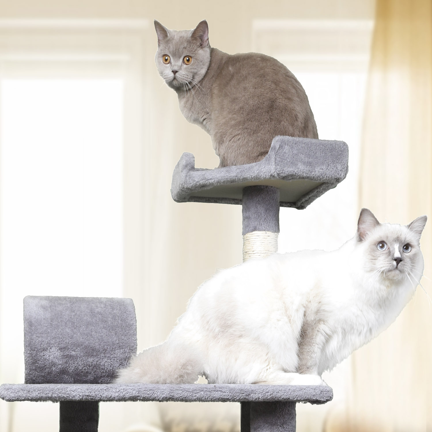 Árvore para Gatos Nobleza Deluxe com Múltiplas Plataformas, Poste de Sisal, Toca para Descanso e Rede. Cinza e Bege. (59*59*156)cm
