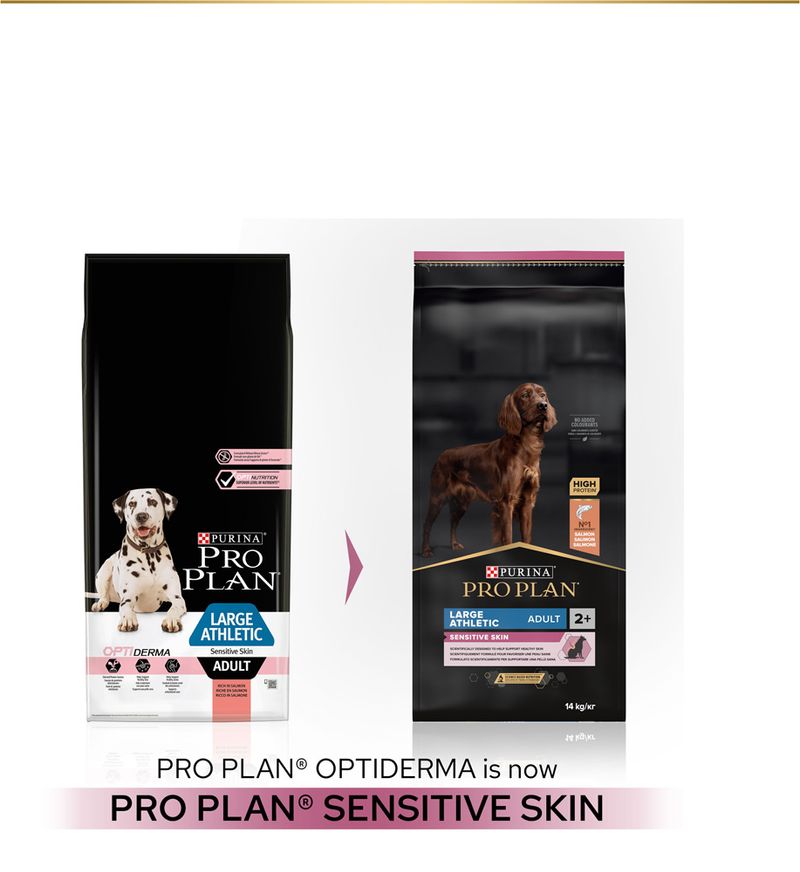 PURINA PRO PLAN Large Athletic Adult Sensitive Skin saumon