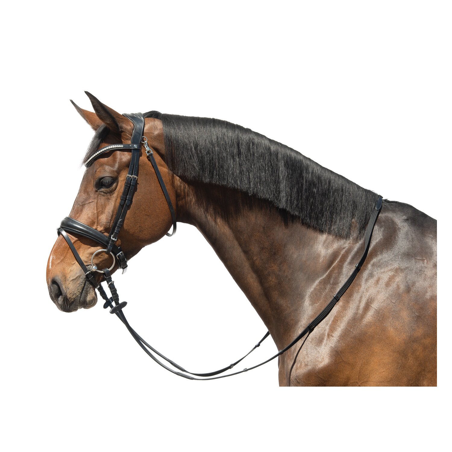 Cheval de Luxe Trensenzaum Catania  - schwarz