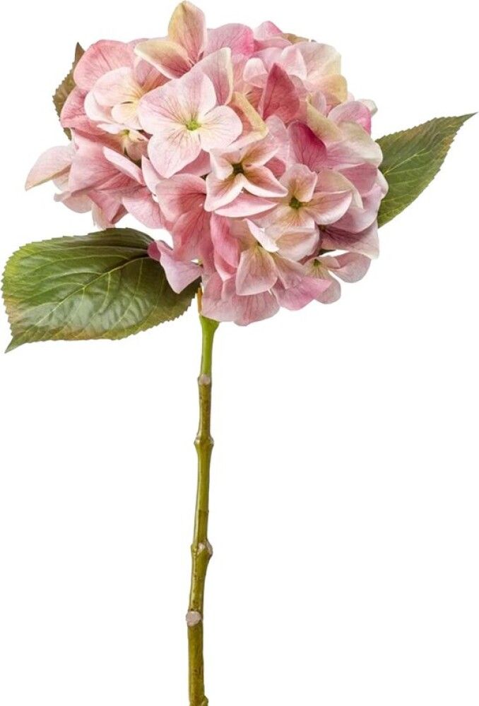 KUNSTPLANTE EMERALD HYDRENSE SNITTBLOMST ROSA 47 CM