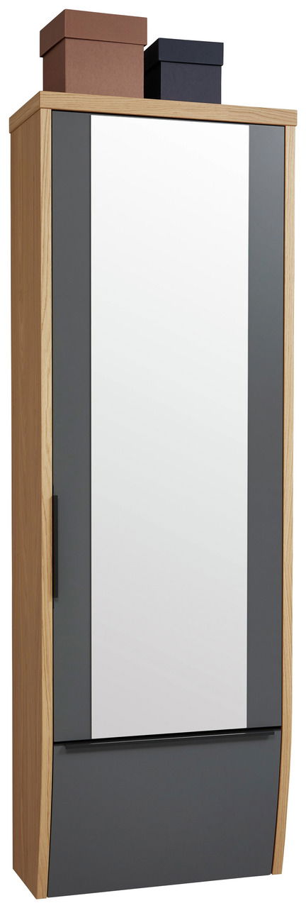 Dieter Knoll Hänge-Spiegelgarderobenschrank ARCO TREND