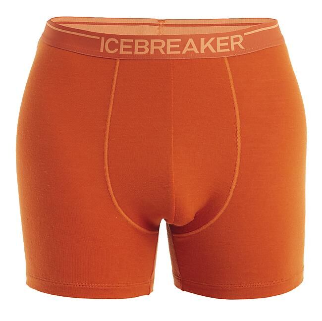 ICEBREAKER - BOXER ANATOMICA M