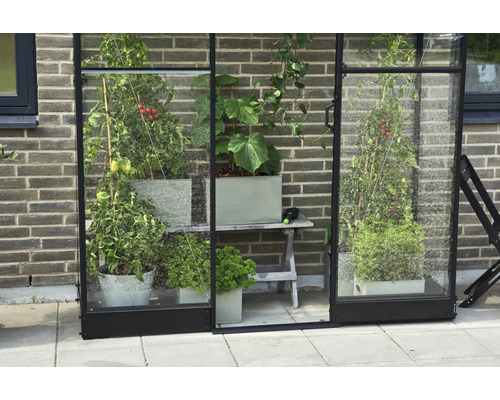 Aanbouwkas Halls Qube Lean-To 26, 3 mm veiligheidsglas, 65 x 189 cm, zwart