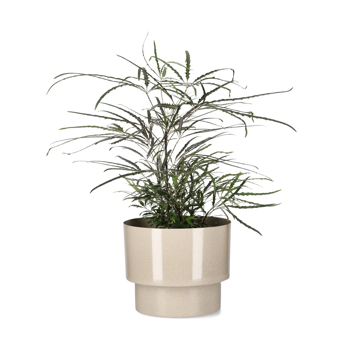 Potte Sandy Ø17 cm