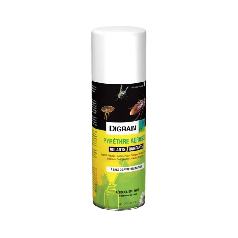 LODI - Aérosol insecticide - 200ml