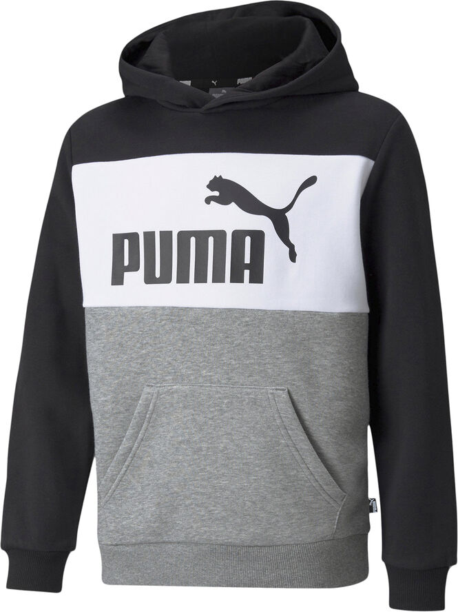 Puma Essentials  Colourblock hættetrøje Grå