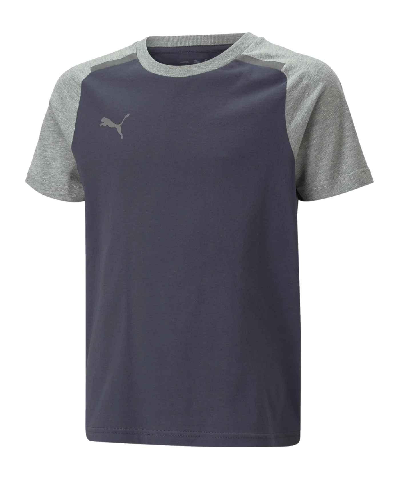PUMA teamCUP Casuals T-Shirt Kids Blau Grau F06