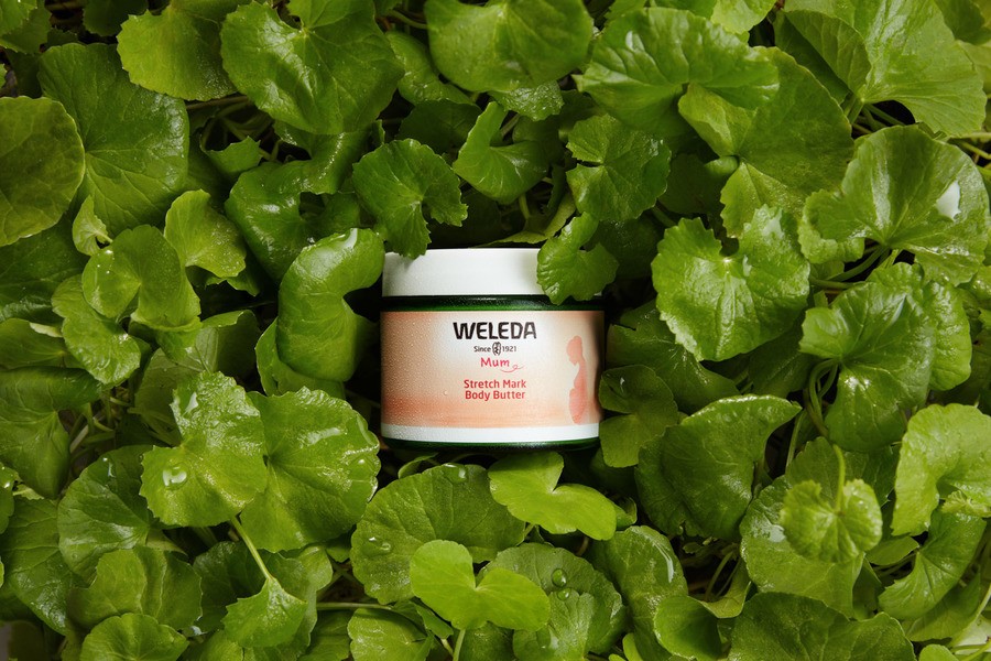 Weleda Stretch Mark Body Butter 150ml