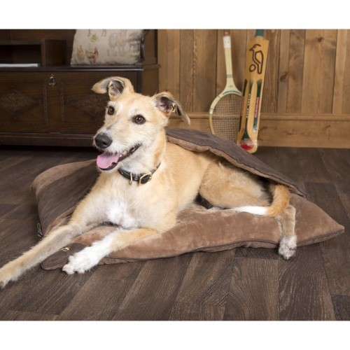 Cama para cães Chester Divan, marrom