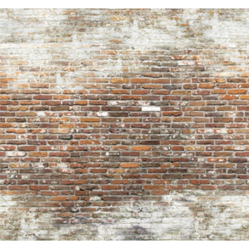 Fotobehang Brick wall 2 (105416)