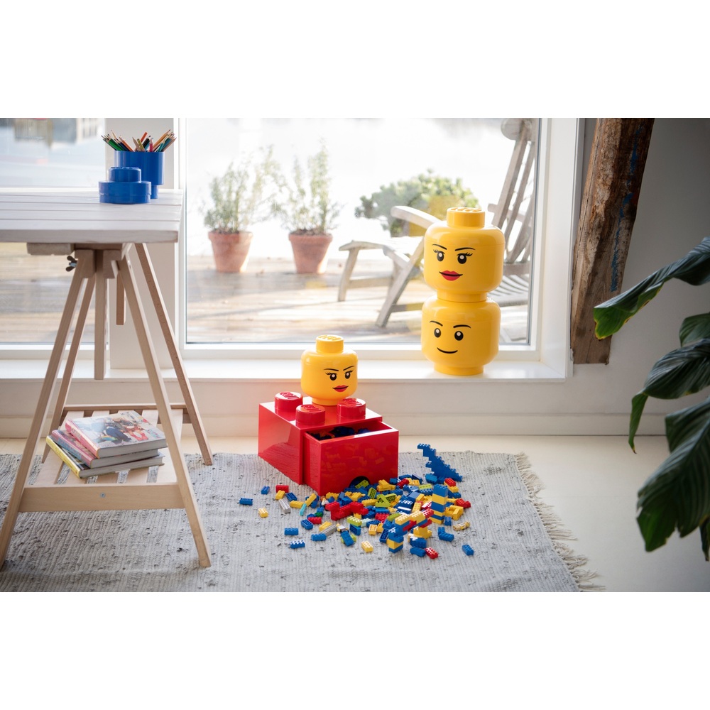 LEGO Großes Aufbewahrungsfach
