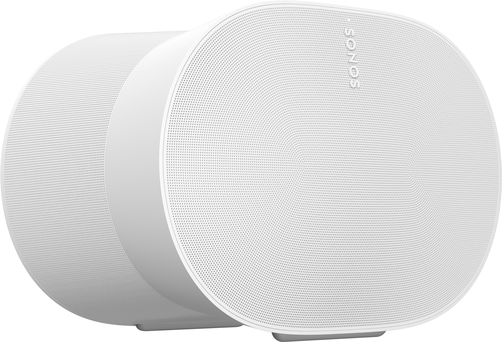 Era 300 Premium Smart Speaker
