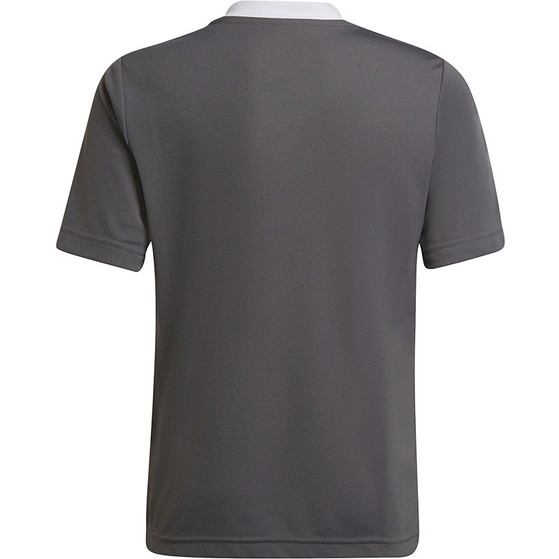 adidas Entrada 22 Training Shirt Kids
