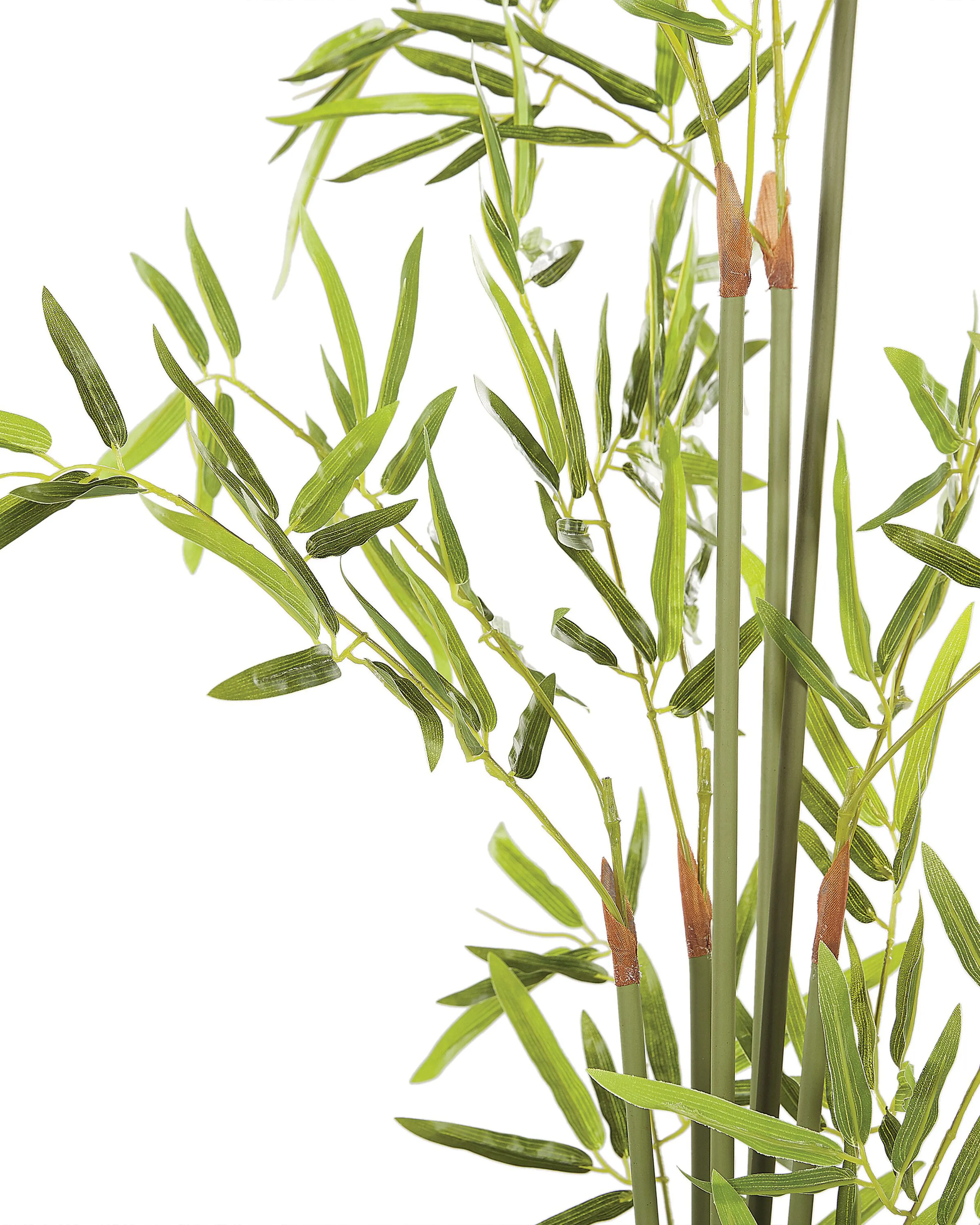Kunstplant BAMBUSA VULGARIS 100 cm Groen
