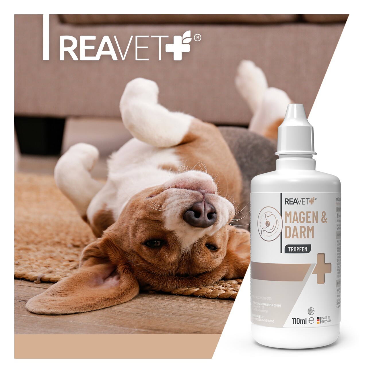 REAVET Magen & Darm Tropfen 100ml