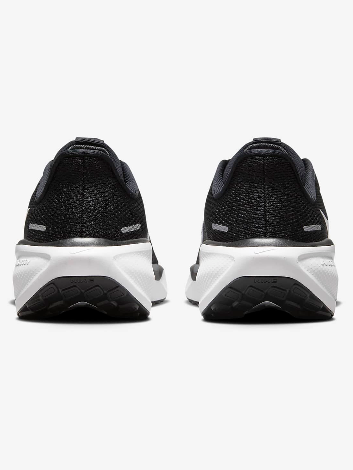 Pegasus 41