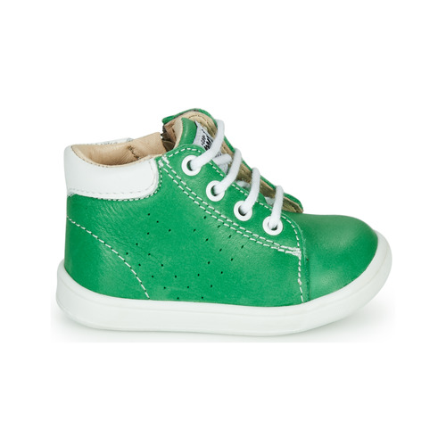 GBB - FOLLIO - Vert